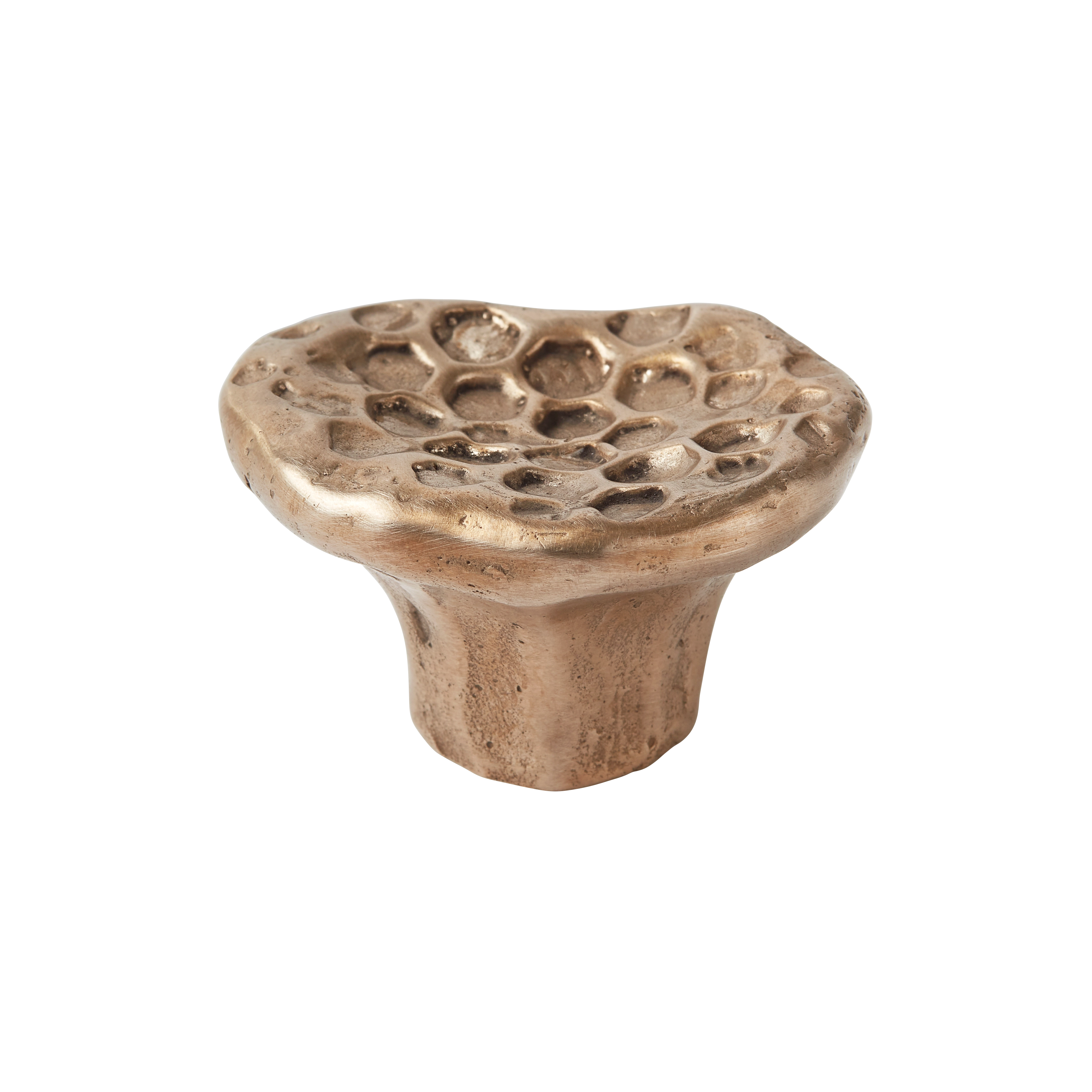 Organic-textured Silicon Bronze Cabinet Knob