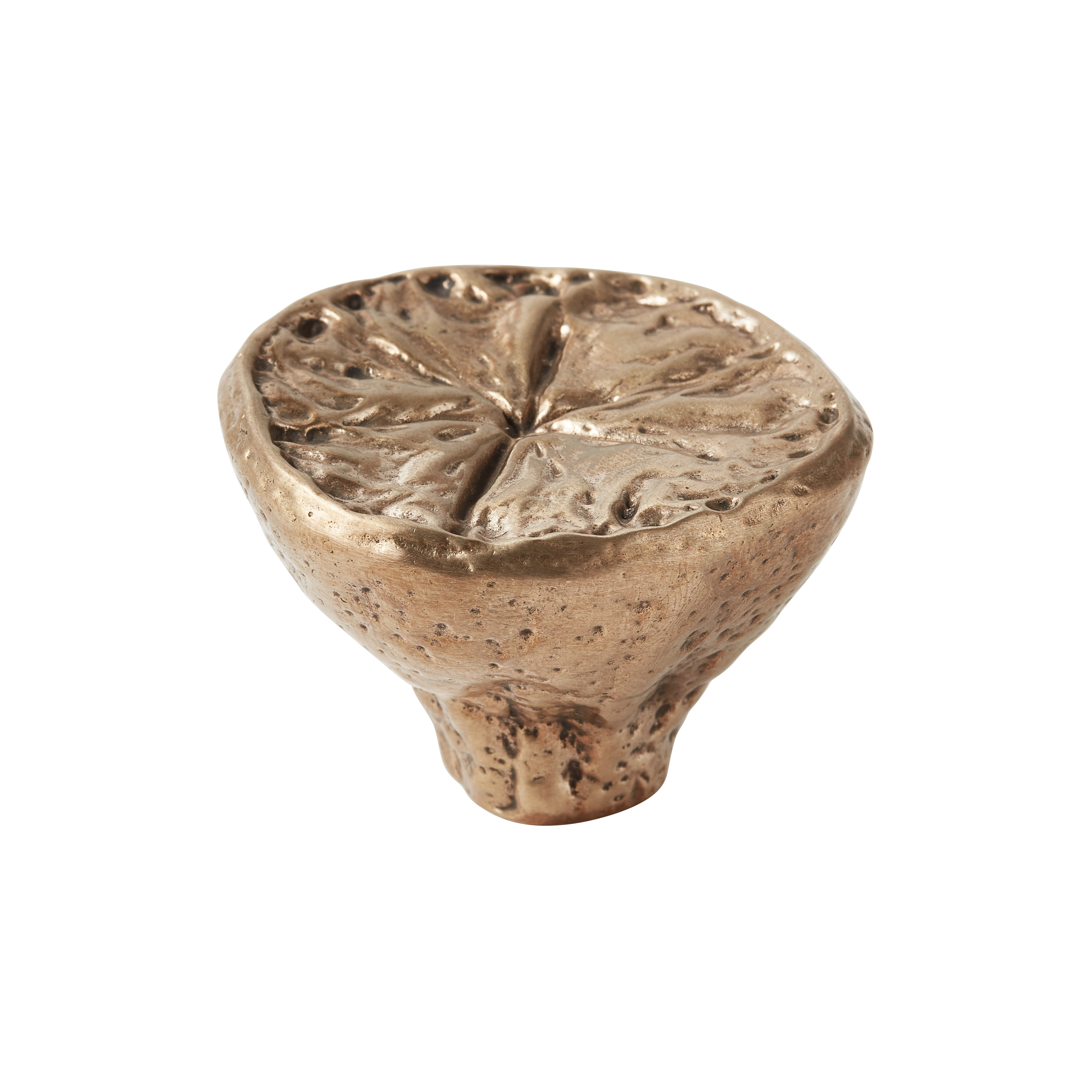 Citrus-patterned Silicon Bronze Cabinet Knob